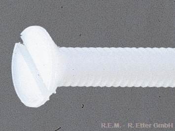 Nylon Senkkopfschraube 10 St&uuml;ck M4x20