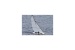 Dragon Force 65 V6 Yacht 2,4 GHz RTR