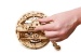 UGEARS Monorad